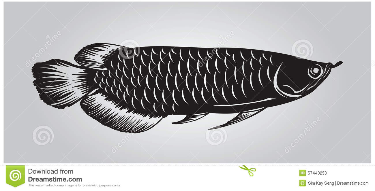 Arowana stúdió