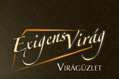 Exigens Virág