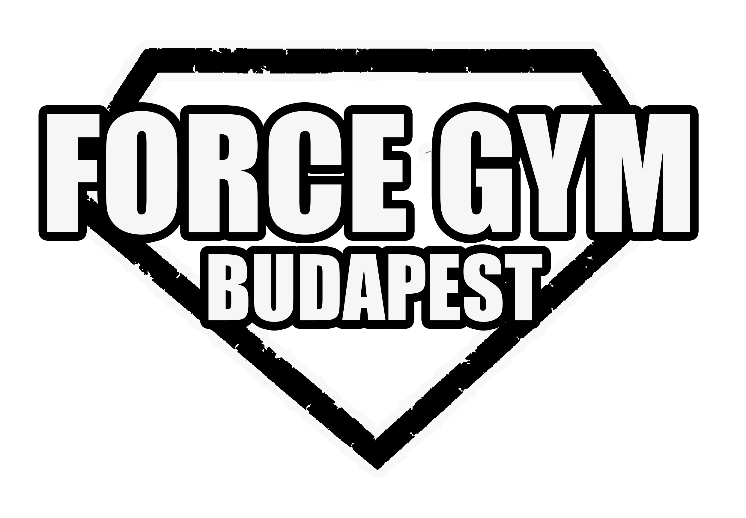 Force Gym Kft