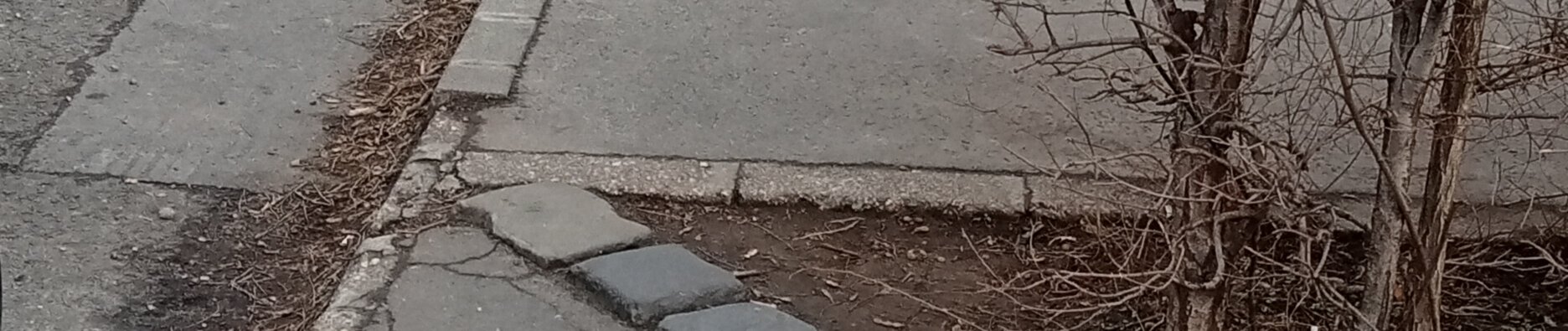 közösségi költségvetés