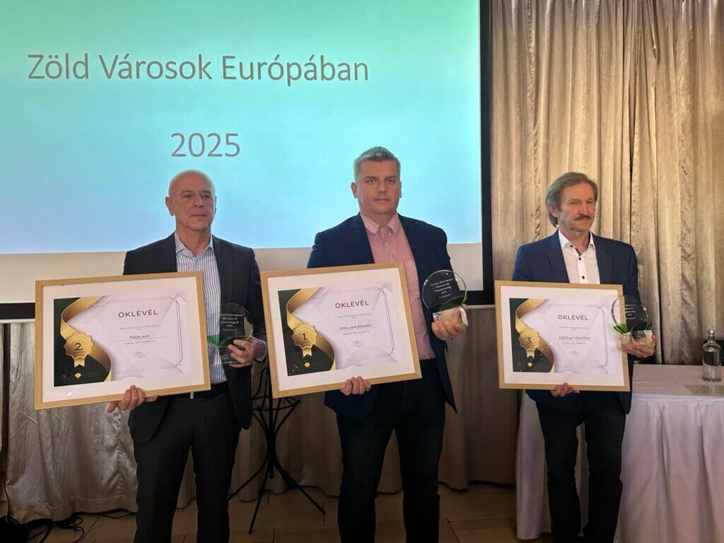 dr. Puchner Gábor alpolgármester átveszi a díjat