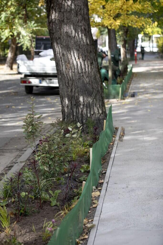 Faludi utcai zöldítés