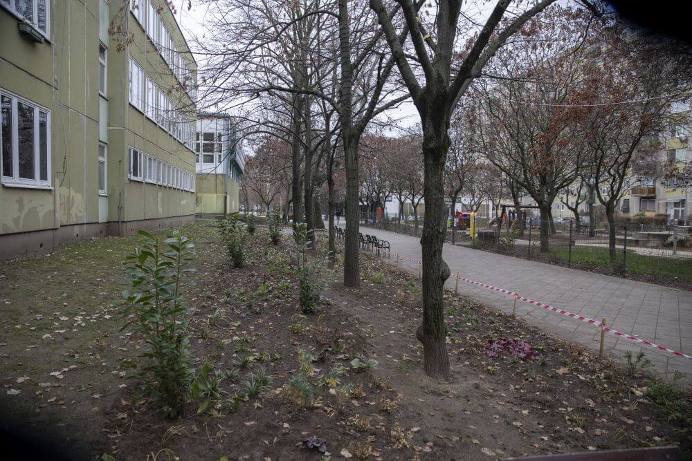 Számítástechnikai iskola zöldsáv