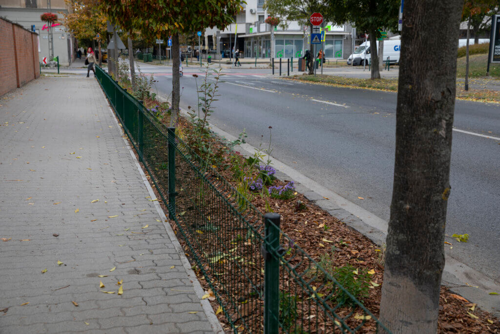 Járdaszakasz zöldítése