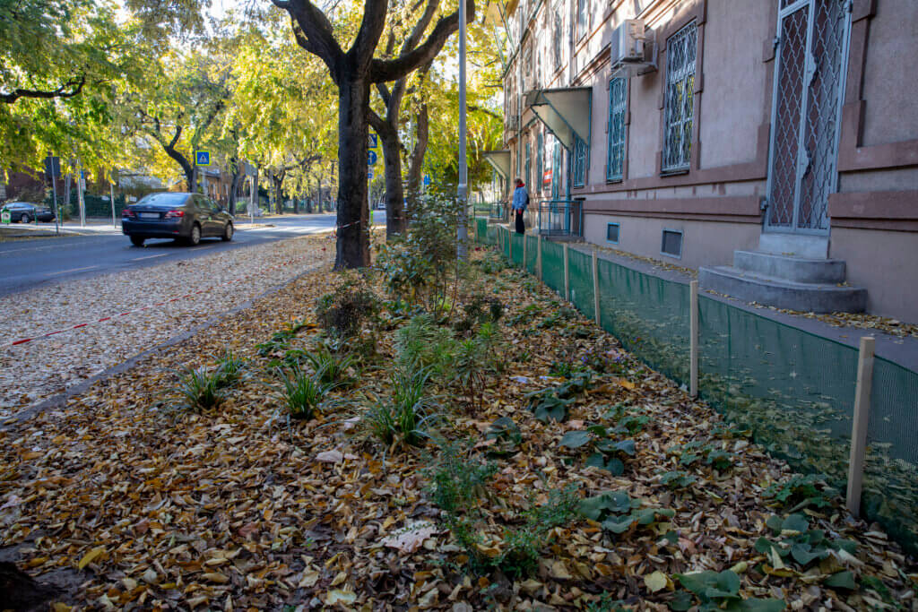 Kassák Lajos utca zöldítése