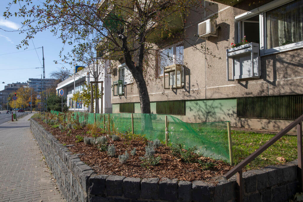 Virágzó évelőágyas a Béke utca 8-10. épület előtt